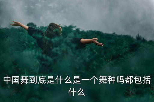 中国舞到底是什么是一个舞种吗都包括什么