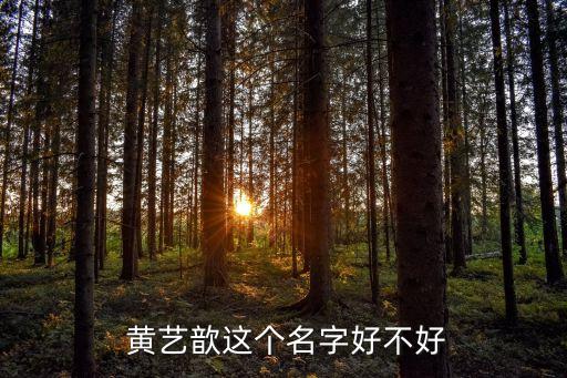 黄艺舞蹈 长春,长春黄艺舞蹈学校