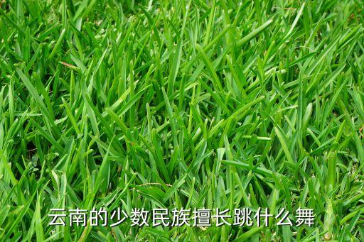 云南省的舞蹈比赛有哪些,2022云南省舞蹈比赛