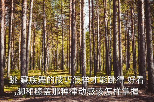 跳 藏族舞的技巧怎样才能跳得 好看,脚和膝盖那种律动感该怎样掌握