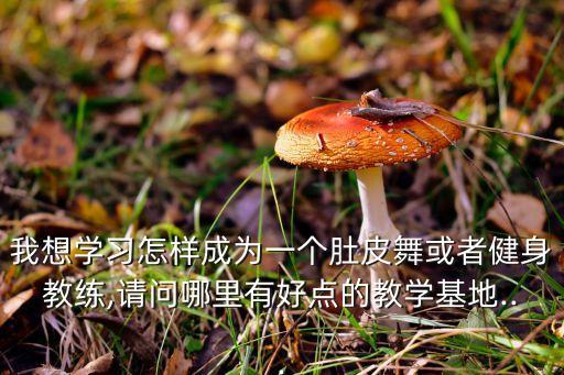 我想学习怎样成为一个肚皮舞或者健身教练,请问哪里有好点的教学基地...