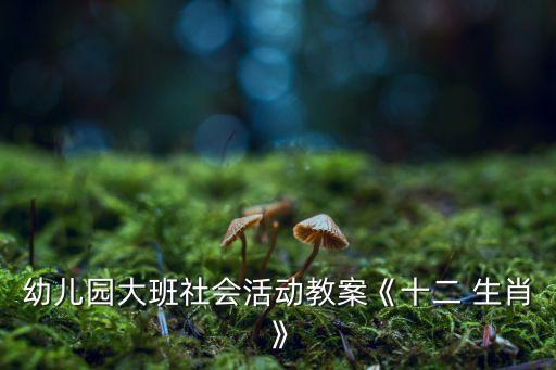 幼儿园大班社会活动教案《十二 生肖》
