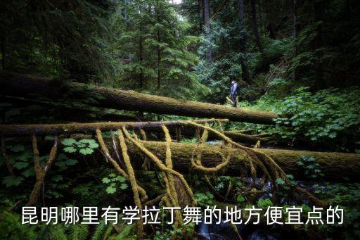  昆明哪里有学拉丁舞的地方便宜点的