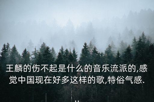 王麟伤不起跳的舞蹈