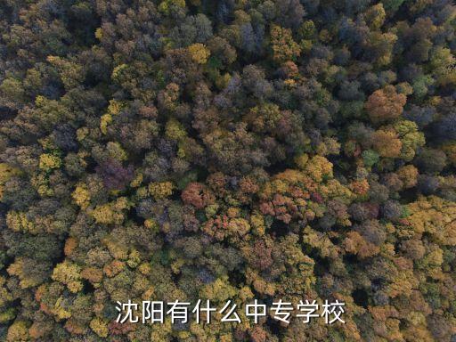 沈阳舞蹈东方地址,沈阳东方玫瑰园地址