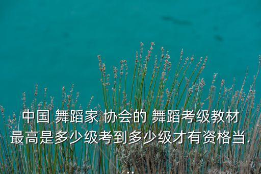 中国 舞蹈家 协会的 舞蹈考级教材最高是多少级考到多少级才有资格当...