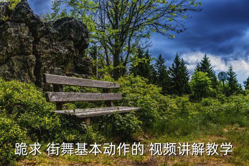 跪求 街舞基本动作的 视频讲解教学