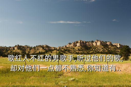 歌红人不红的男歌手,听过他们的歌,却对他们一点都不熟悉,你知道有...