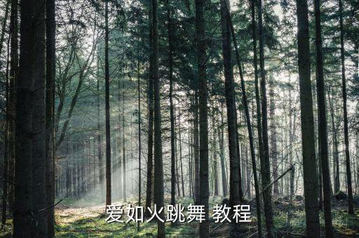 怀念青春的舞蹈教程,青春有你1主题曲舞蹈教程完整版