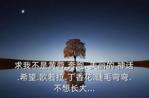 求我不是黄蓉.奔跑. 美丽的 神话.希望.欧若拉.丁香花.睫毛弯弯.不想长大...