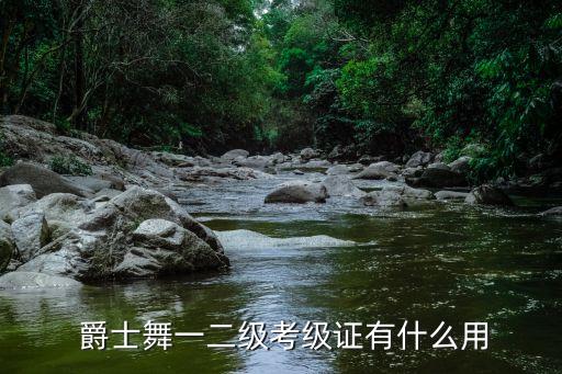 爵士考生考舞蹈证书,国家认可的爵士舞蹈教练资格证书