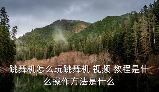 自由步舞蹈视频教程,舞蹈三十六步视频教程