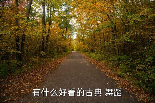 有什么好看的古典 舞蹈