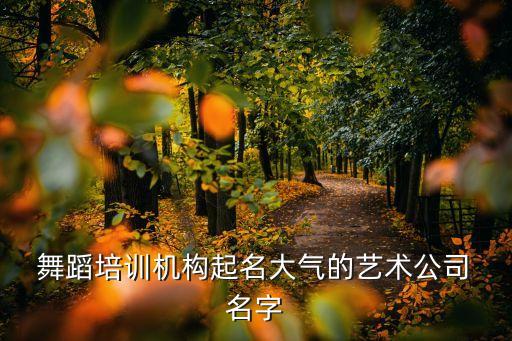  舞蹈培训机构起名大气的艺术公司 名字