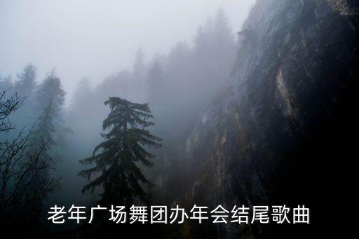 老年广场舞团办年会结尾歌曲