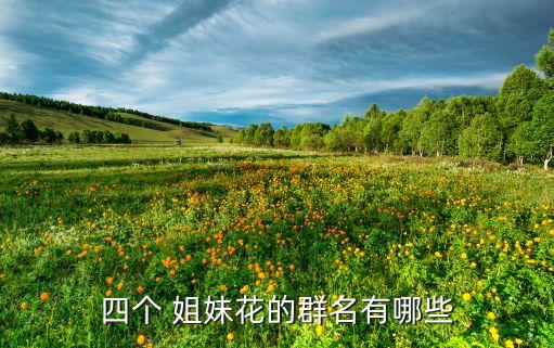四个 姐妹花的群名有哪些