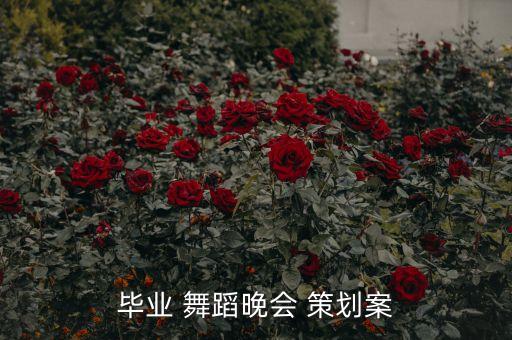 毕业 舞蹈晚会 策划案