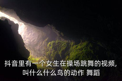 鸟舞蹈姿势,8人舞蹈的结束姿势