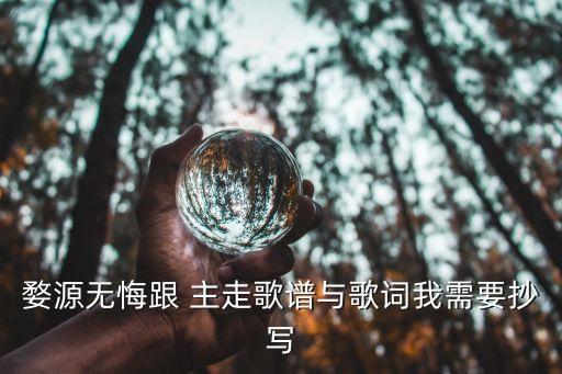 婺源无悔跟 主走歌谱与歌词我需要抄写