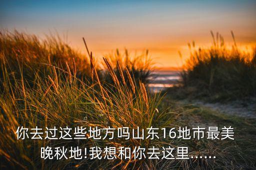 你去过这些地方吗山东16地市最美 晚秋地!我想和你去这里……