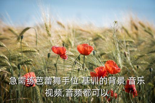 适合基训舞蹈的纯音乐,适合舞蹈技巧组合的纯音乐