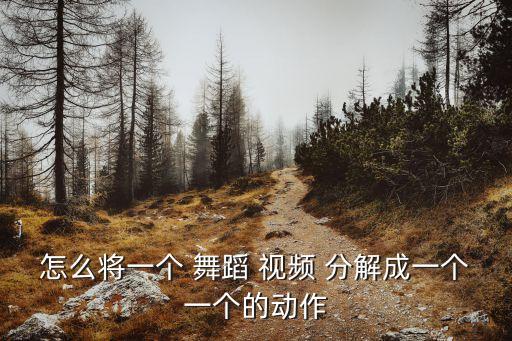 怎么将一个 舞蹈 视频 分解成一个一个的动作