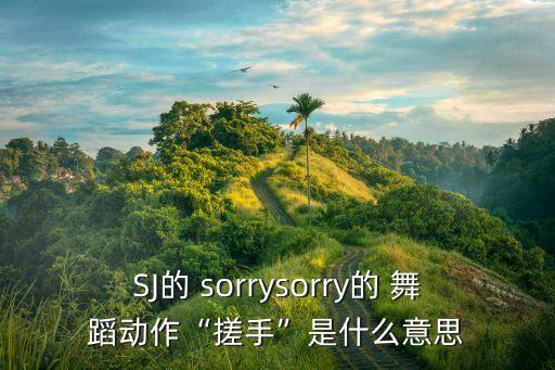 SJ的 sorrysorry的 舞蹈动作“搓手”是什么意思