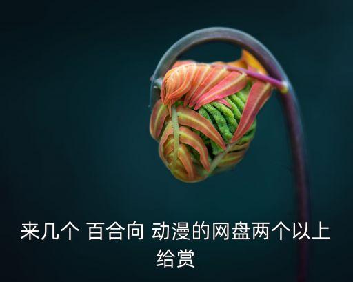 来几个 百合向 动漫的网盘两个以上给赏