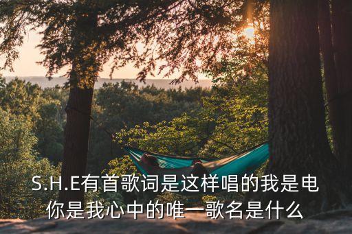S.H.E有首歌词是这样唱的我是电你是我心中的唯一歌名是什么