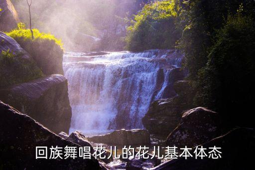 回族金典舞蹈视频,回族舞蹈视频《美丽的姑娘》