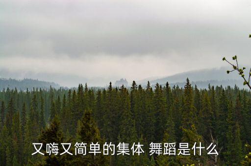 又嗨又简单的集体 舞蹈是什么