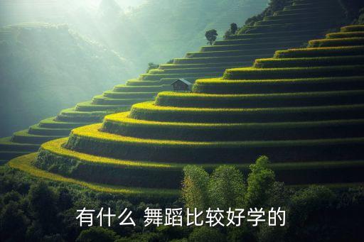 有什么 舞蹈比较好学的
