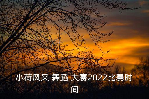 小荷风采 舞蹈 大赛2022比赛时间
