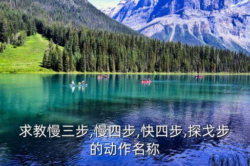 求教慢三步,慢四步,快四步,探戈步的动作名称