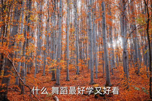 什么 舞蹈最好学又好看