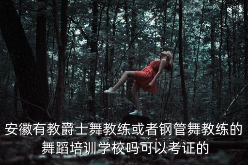 安徽有教爵士舞教练或者钢管舞教练的 舞蹈培训学校吗可以考证的