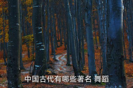 舞蹈代表作,杨玉环舞蹈代表作