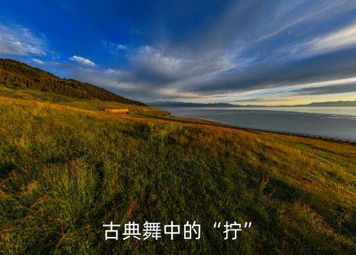 古典舞中的“拧”