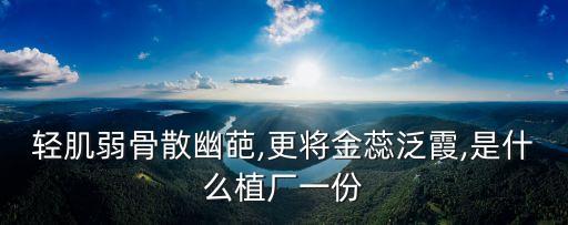 九江向霞长裙舞蹈,2018九江向霞一等奖舞蹈