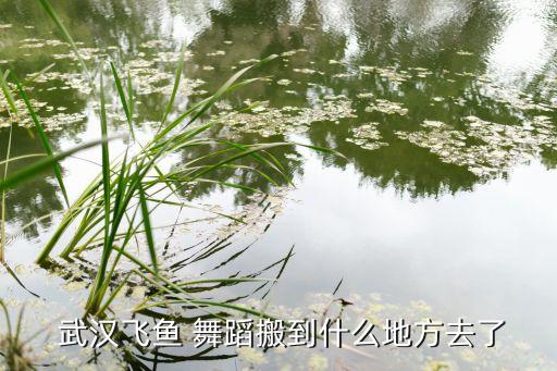 武汉汉口舞蹈室出租,武汉227舞蹈汉口地址