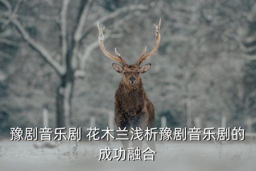 豫剧音乐剧 花木兰浅析豫剧音乐剧的成功融合