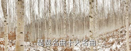  琵琶名曲十大名曲