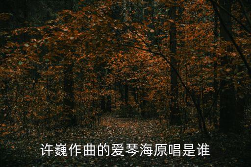 许巍作曲的爱琴海原唱是谁