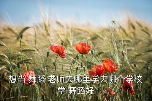 想当 舞蹈 老师去哪里学去哪个学校学 舞蹈好