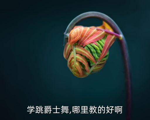 学跳爵士舞,哪里教的好啊
