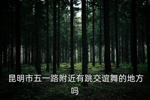  昆明市五一路附近有跳交谊舞的地方吗