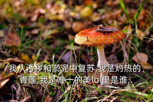 我从污秽和淤泥中复苏,我是灼热的 青莲,我是唯一的美lol里是谁...