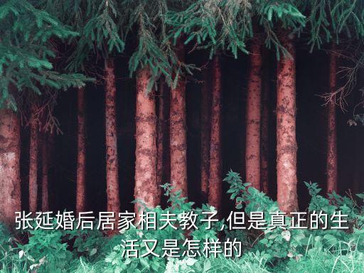张延婚后居家相夫教子,但是真正的生活又是怎样的