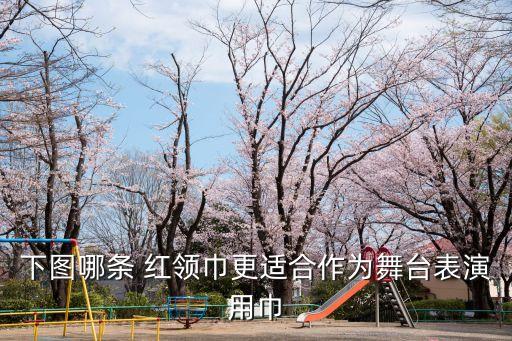 红领巾小学生舞蹈,四级红领巾舞蹈视频