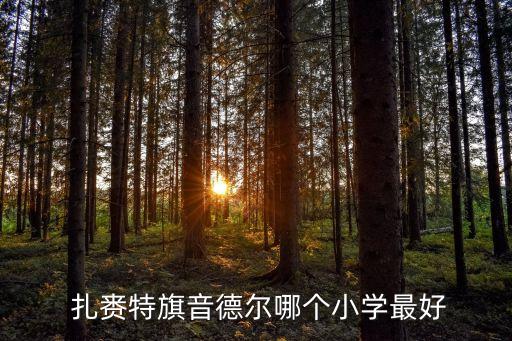  扎赉特旗音德尔哪个小学最好